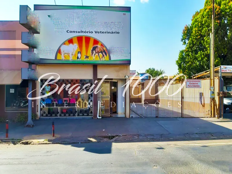 Pet shop & Clinica em Cassilândia, MS