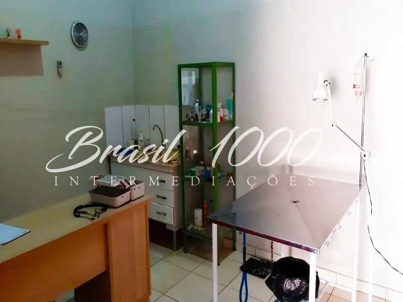 Pet shop & Clinica em Cassilândia, MS