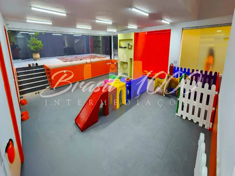 Pet Shop na Vila Mariana, SP