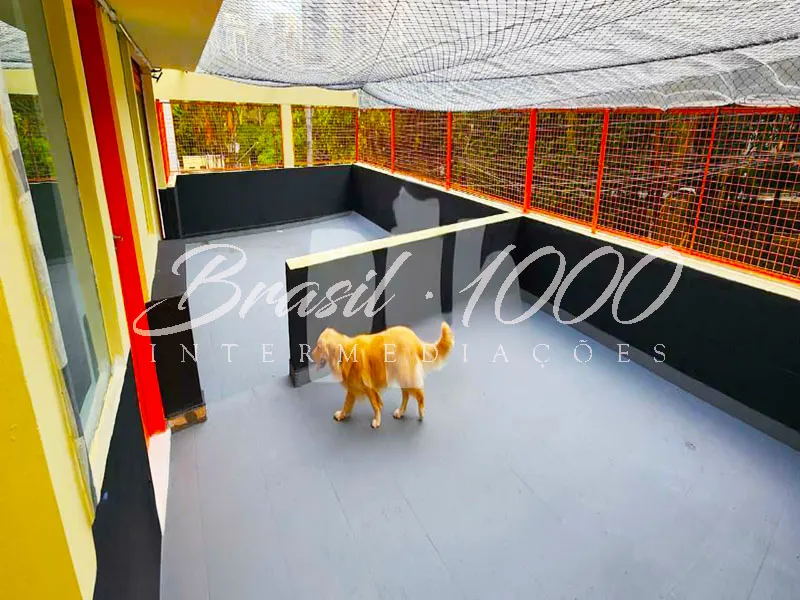 Pet Shop na Vila Mariana, SP