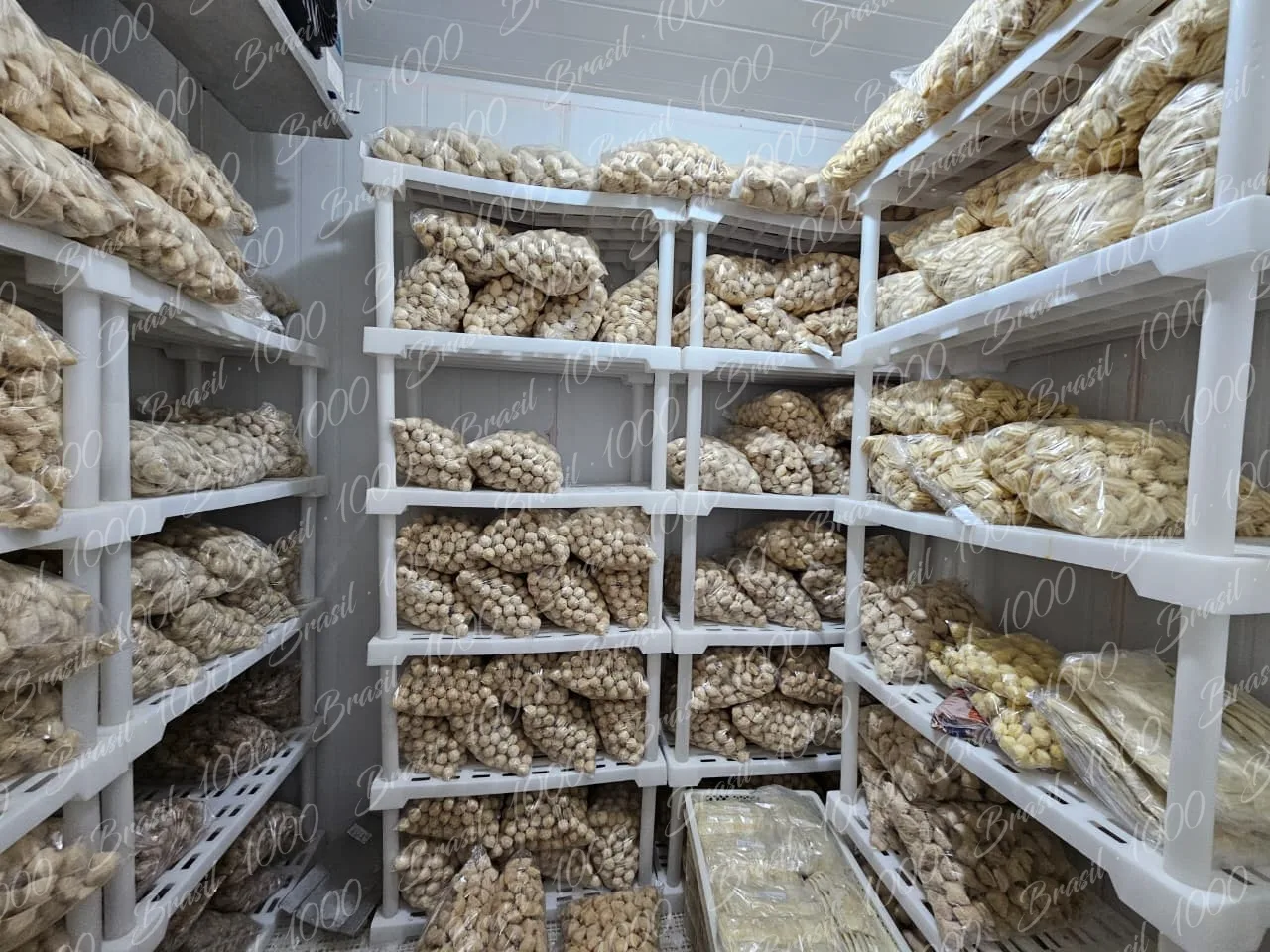 Fábrica de Salgados na Zona Norte