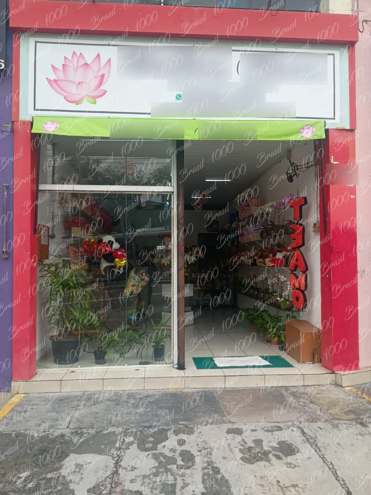 Floricultura à venda na Vila Norma
