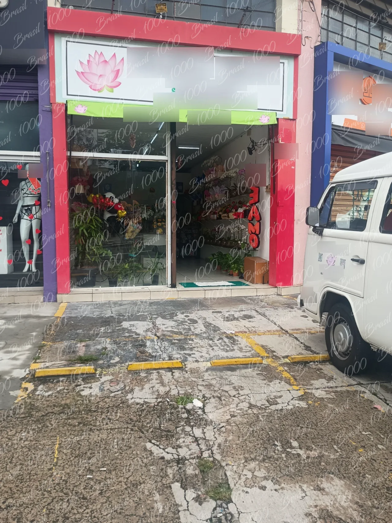 Floricultura à venda na Vila Norma