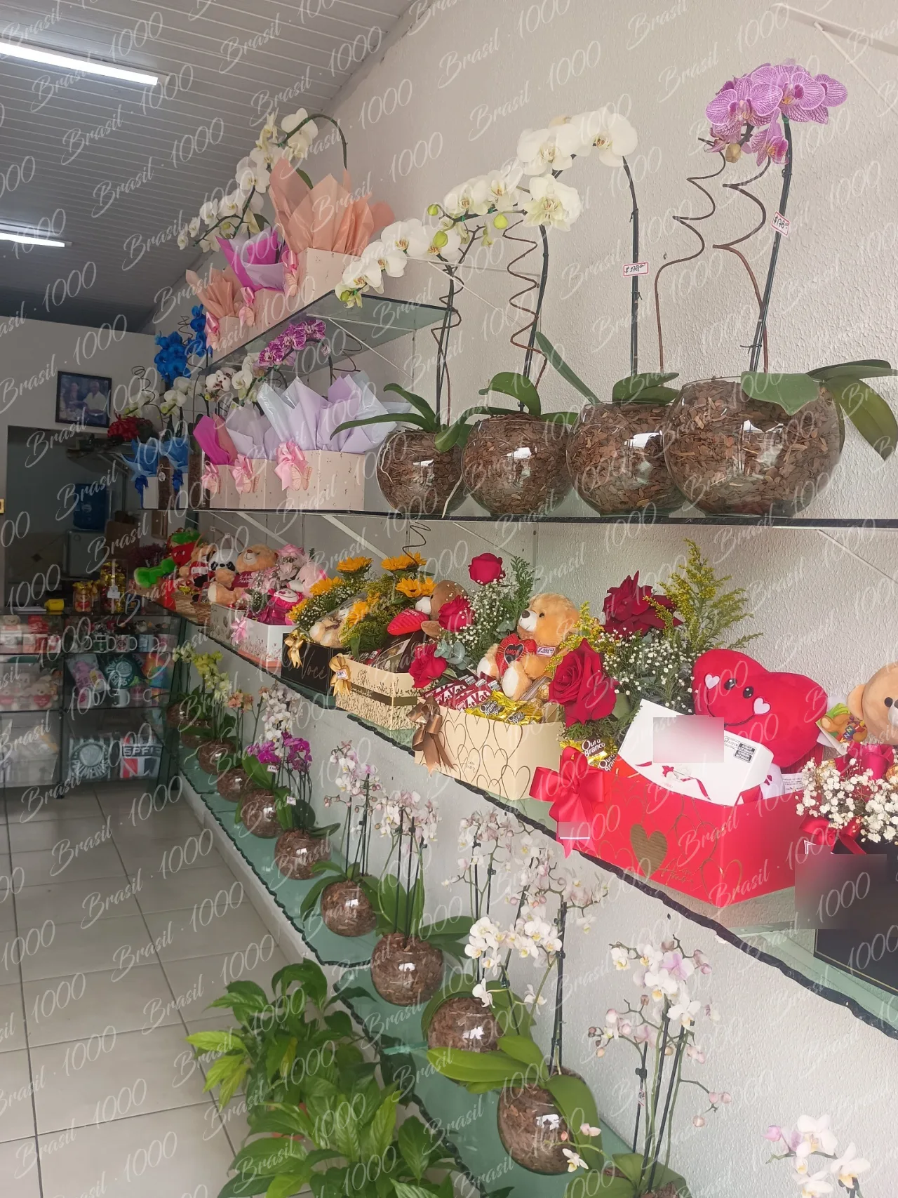 Floricultura à venda na Vila Norma